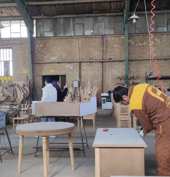 بازدید شرکتهای چینی از کارخانه چوبین نقش رضوان